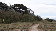 EB DSC05702